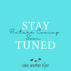 Chocolate Caramel Cake